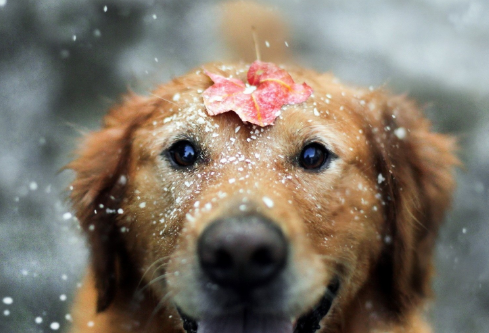 1686989180291548.png image.png