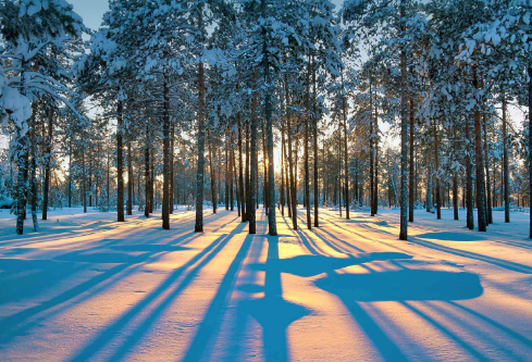 1686990013123200.png image.png