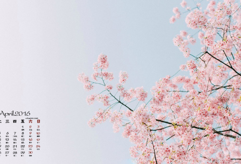 1686999842965953.png image.png