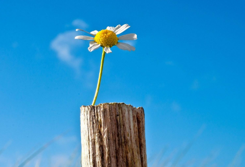 1687001173437154.png image.png