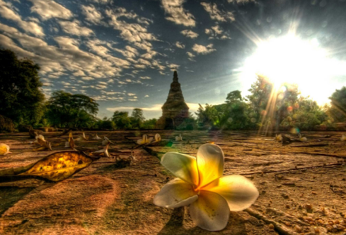 1687003504544603.png image.png