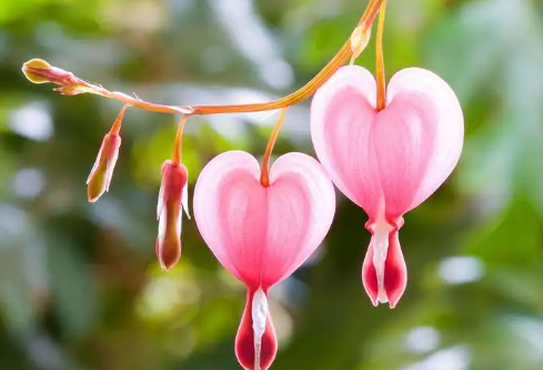 1687009330949888.png image.png