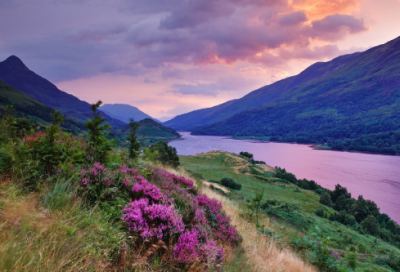 ​高情商失眠短句