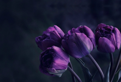 ​最新霸气经典个性签名