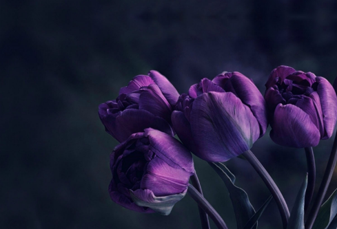 1687011826782923.png image.png