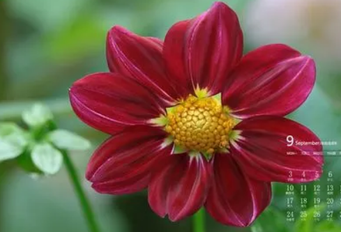 1687013157312386.png image.png