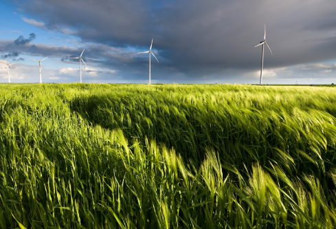 1687155642836064.png image.png