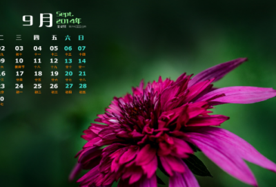 ​外国名言名句优美（外国名人名言大全摘抄）