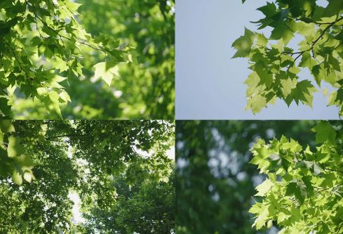 1687156309870634.png image.png