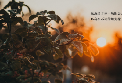 ​关于诗的名言名句有哪些（有名的千古绝句）