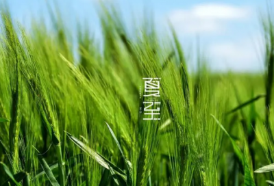 ​教育的名人名言名句（用心做教育的唯美句子）