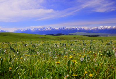 ​教育学家陶行知的名言（教育学名人名言名句）