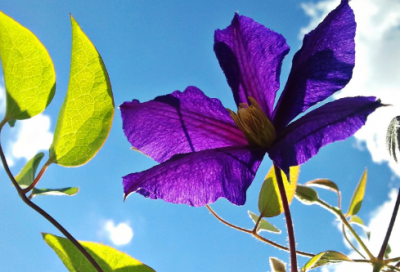 ​爱因斯坦的名言是什么（爱因斯坦关于宇宙的名言名句）