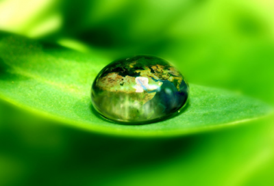 ​孔子的名言名句摘抄