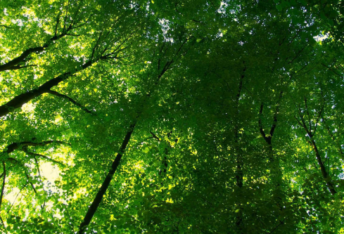 1687159640146065.png image.png