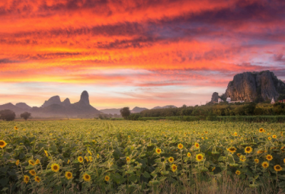 ​名言名句大全小学生（小学生最好的座右铭大全）