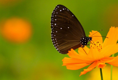 ​关于敬畏的格言警句（心存敬畏的名言警句）