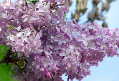 ​钢铁是怎样炼成的名言名句（钢铁是怎样炼成的金句）