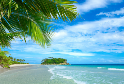 ​功夫不负有心人的事例（辛勤付出后收获的名言）