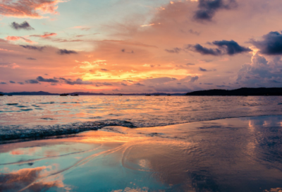 ​美食名言名句优美（美食名言名句优美句子）