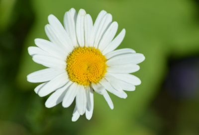 ​苏格拉底名言名句大全（世界哲学名言8句经典）