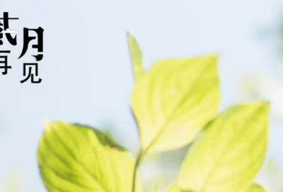 ​论语名言警句摘抄大全（论语经典语录摘抄及赏析）