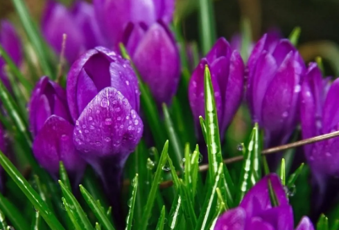 1687167968338977.png image.png