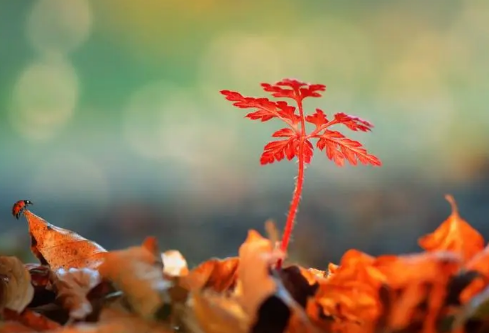 1687168634660565.png image.png