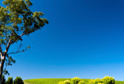 ​哈姆雷特名言名句（哈姆雷特最经典的一段台词）
