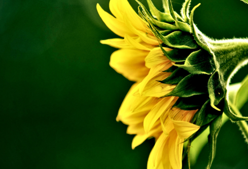 1687169467151479.png image.png