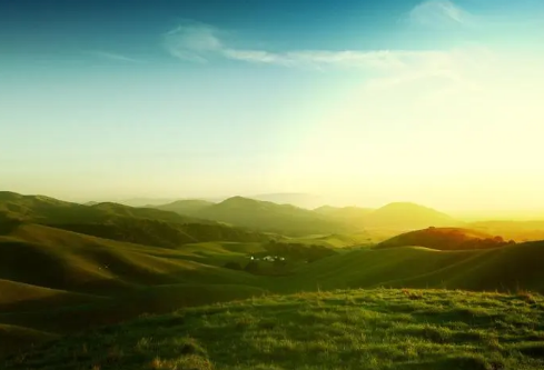 1687169634251146.png image.png