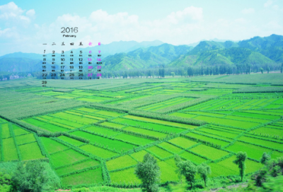 ​鲁迅关于读书的名言有哪些(读书名人名言大全摘抄)