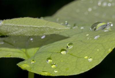 ​淡泊名利的诗句或名言（表达清心寡欲与世无争的诗句）
