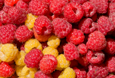 ​释迦牟尼很火的一句话（释迦牟尼名言300句感情）