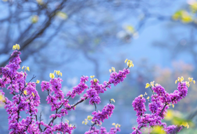 ​萨特名言经典语录（哲学家萨特最著名的话）