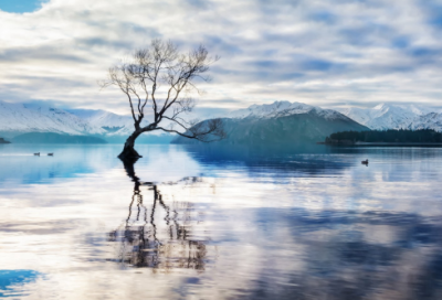 ​恩格斯语录有什么（恩格斯名言名句欣赏）