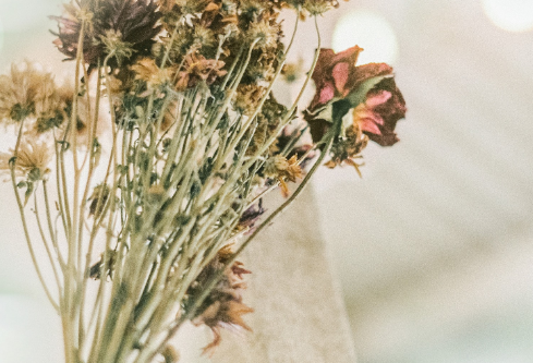 1687173132177916.png image.png