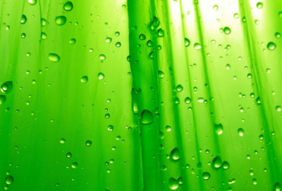 ​与雪有关的诗句精选（描写雪景的名言名句）