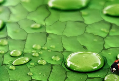 ​描述时间流逝唯美的句子（时光飞逝的名言名句）