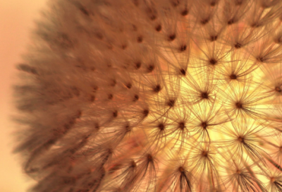 ​切格瓦拉语录经典（古巴革命家切格瓦拉的名言）