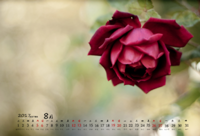 ​名言名句大全摘抄（30句非常经典的名言警句）