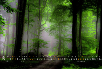 ​名人名言大全摘抄（励志名人名言赏析）