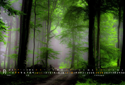 1687176296920361.png image.png