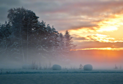 ​钢铁是怎样炼成的好词好句摘抄（保尔柯察金的经典名言）