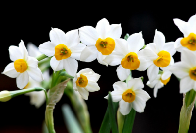 ​形容长城壮观的诗句（赞美长城的名人名言）