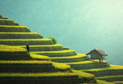 ​奥斯特洛夫斯基的名言（名人名言分享）