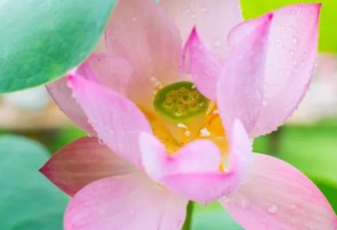 1687179970825838.png image.png