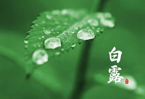 1687180968282549.png image.png