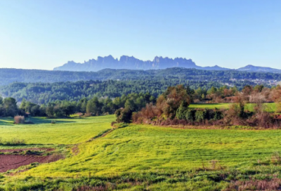 ​名人名言集锦句子（值得摘抄的名人名言）