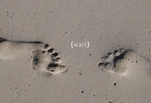 1687184297206616.png image.png